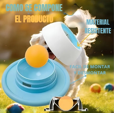Plato de perros anti ansiedad