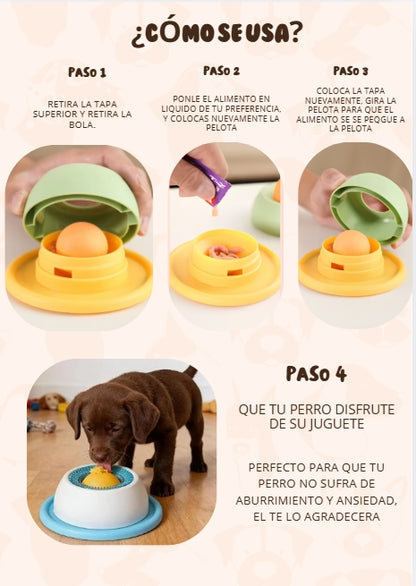 Plato de perros anti ansiedad